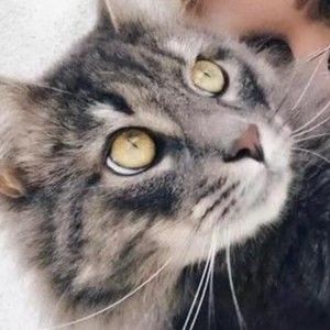 Meet your Posher, Evelyn